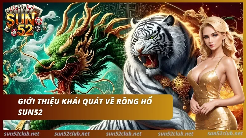 Tìm hiểu sơ lược về rồng hổ tại nền tảng uy tín