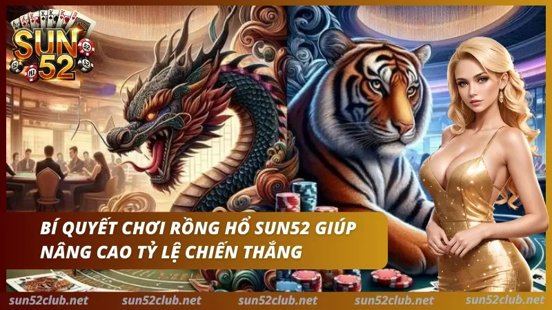 Chiến thuật chơi rồng hổ hiệu quả cho người tham gia